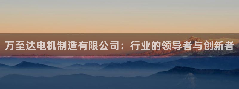 彩神旗下有哪些平台：万至达电机制造有限公司：行业的领导者与创新者