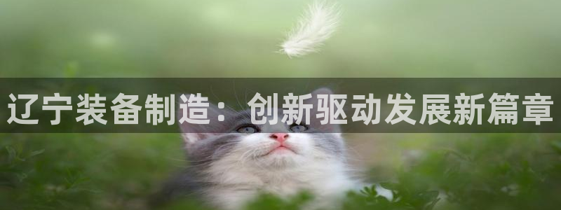 彩神VI首页：辽宁装备制造：创新驱动发展新篇章