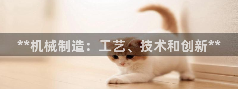 所有彩神购买首页中心：**机械制造：工艺、技术和创新**
