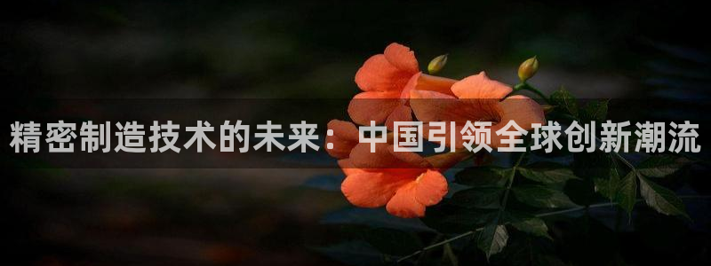 所有彩神购买首页都一样吗：精密制造技术的未来：中国引领全球创新潮流