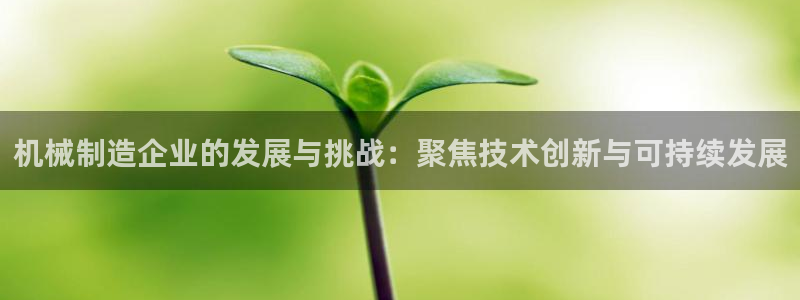 彩神8是正规平台吗：机械制造企业的发展与挑战：聚焦技术创新与可持续发展