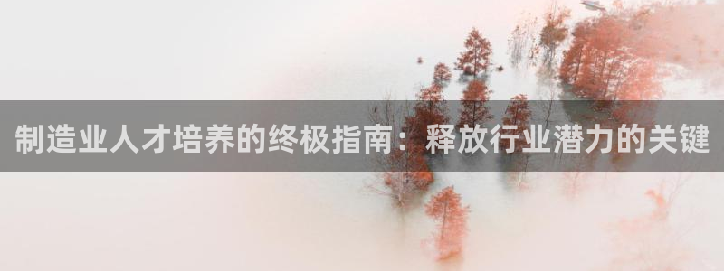 彩神vllⅰ购彩大厅：制造业人才培养的终极指南：释放行业潜力的关键