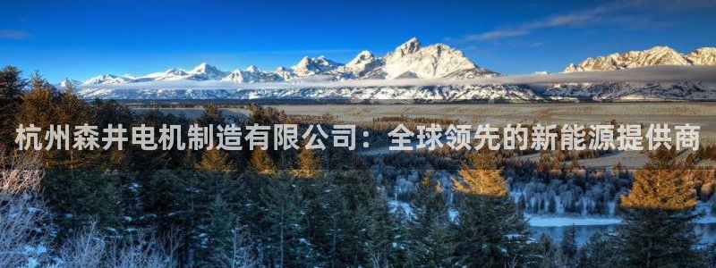 彩神Vii购彩-购彩大厅：杭州森井电机制造有限公司：全球领先