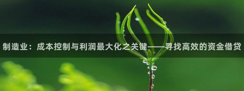 彩神新微聊：制造业：成本控制与利润最大化之关键——寻找高效的资金借贷