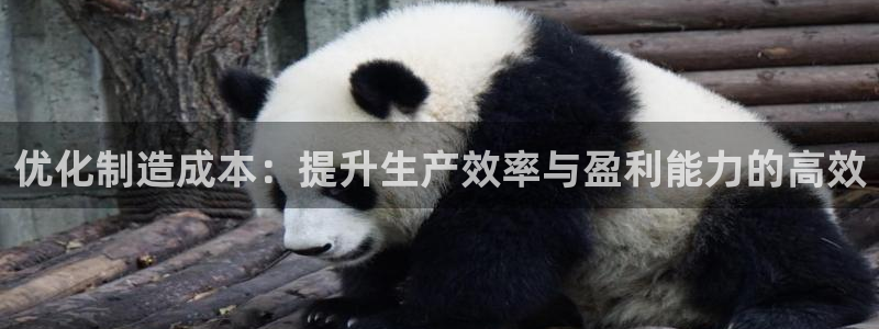 彩神8官网版：优化制造成本：提升生产效率与盈利能力的高效