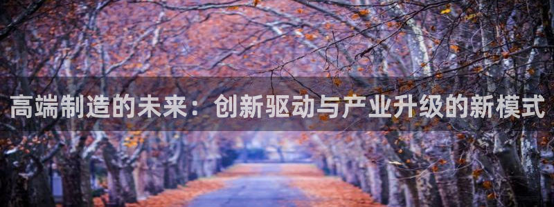 彩神8彩平台客服：高端制造的未来：创新驱动与产业升级的新模式