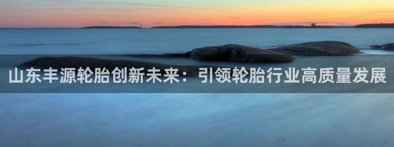 彩神V集团有限公司：山东丰源轮胎创新未来：引领轮胎行业高质量发展