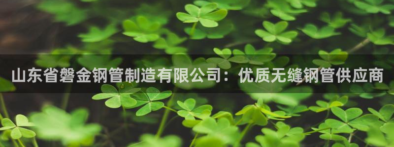 彩神是正规平台吗是真的吗：山东省磐金钢管制造有限公司：优质无缝钢管供应商
