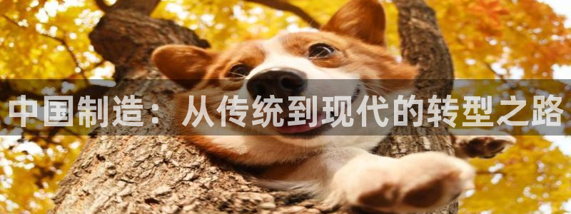 彩神iv是正规平台吗?：中国制造：从传统到现代的转型之路