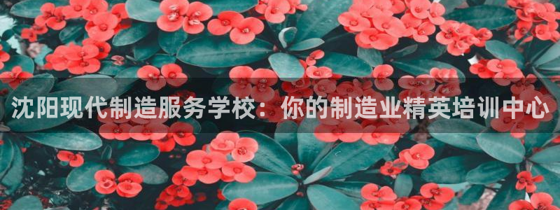新版彩神v8登录不了：沈阳现代制造服务学校：你的制造业精英培训中心
