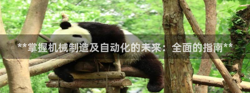 彩神购彩-购彩大厅入口36fr：**掌握机械制造及自动化的未来：全面的指南**