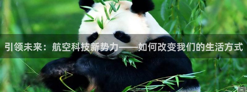 新版彩神v8登录不了：引领未来：航空科技新势力——如何改变我们的生活方式