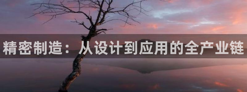 彩神ix可靠吗：精密制造：从设计到应用的全产业链
